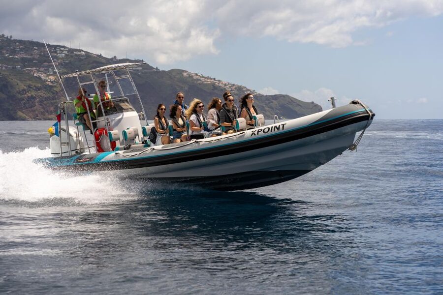 Funchal: RIB Whale Watching Cruise and Optional Dolphin Swim - Leaving Funchal Harbor on a Small-Group RIB