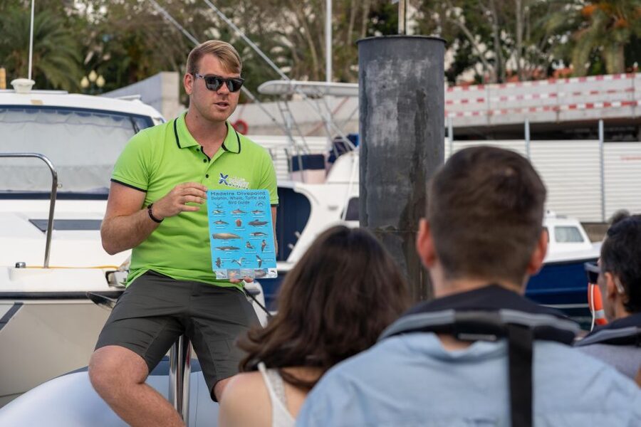 Funchal: RIB Whale Watching Cruise and Optional Dolphin Swim - Guides, vibe, and the “small-group” advantage