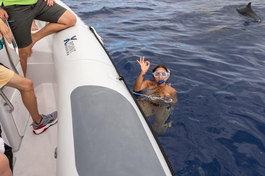 Funchal: RIB Whale Watching Cruise and Optional Dolphin Swim - What you’ll do for 2.5 hours, from boarding to open-ocean search