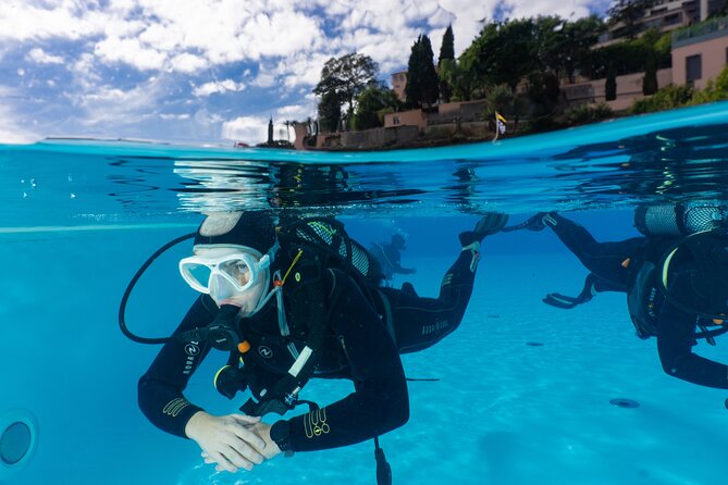 Funchal: Scuba Diving Experience for Beginners - Madeira Divepoint at Hotel Carlton, Funchal is a practical meeting point