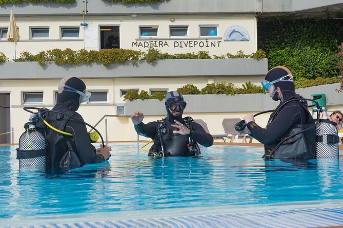 Funchal: Scuba Diving Experience for Beginners - Your 3-hour rhythm: briefings, pool control, then an Atlantic reef visit