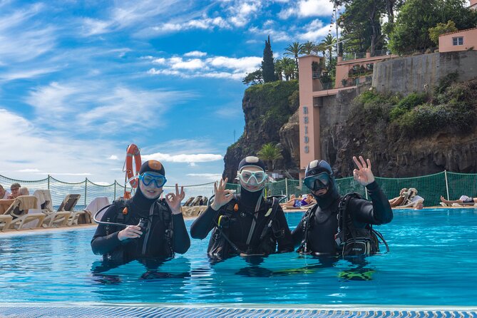 Funchal: Scuba Diving Experience for Beginners - Price and logistics: how to make it easy on your day