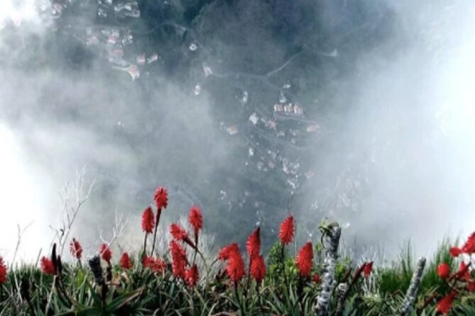 Funchal Shore Excursion:Private Stunning and scenic Nuns Valley Tour - Camara de Lobos: fishing village charm and the poncha finish