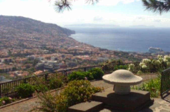 Funchal Shore Excursion:Private Stunning and scenic Nuns Valley Tour - When weather turns, the driver becomes the tour hero