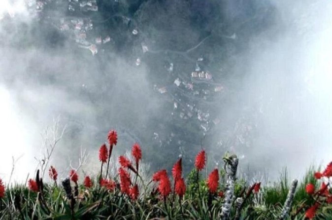 Funchal Shore Excursion:Private Stunning and scenic Nuns Valley Tour - Who should book this Nuns Valley shore tour?