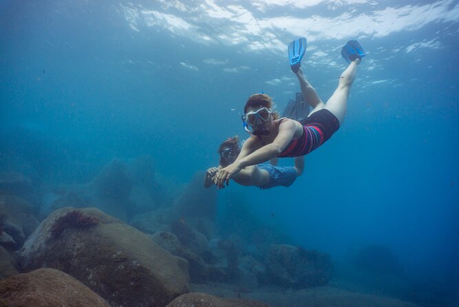 Funchal: Snorkeling Adventure in Eco-Park / Shore or by Boat - Key Highlights to Know Before You Go