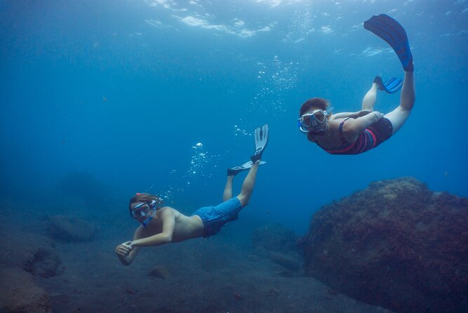 Funchal: Snorkeling Adventure in Eco-Park / Shore or by Boat - Option 2: Guided Boat Snorkeling in a Protected Marine Reserve
