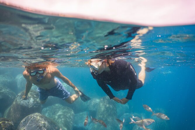 Funchal: Snorkeling Adventure in Eco-Park / Shore or by Boat - Gear and the Wet Suit Question (Comfort Wins)