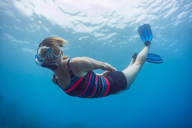 Funchal: Snorkeling Adventure in Eco-Park / Shore or by Boat - Price and Value for a 2-Hour Snorkeling Session in Funchal
