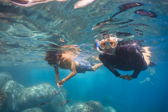 Funchal: Snorkeling Adventure in Eco-Park / Shore or by Boat - Your 2 hours, shore option vs protected marine reserve
