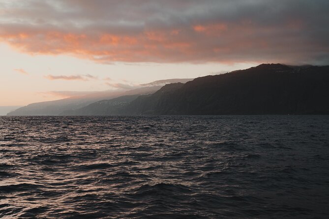 Funchal Sunset Sailing Private Tour - Meeting at Happy Hour Madeira, Right by the Marina