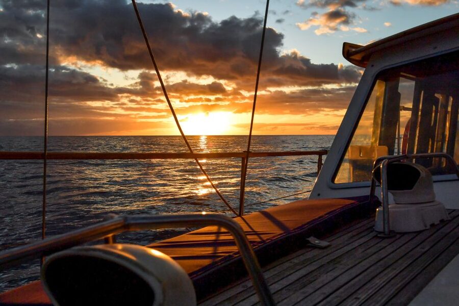 Funchal: Sunset Sailing Tour - Cabo Girão swim stop: where the views are the main character