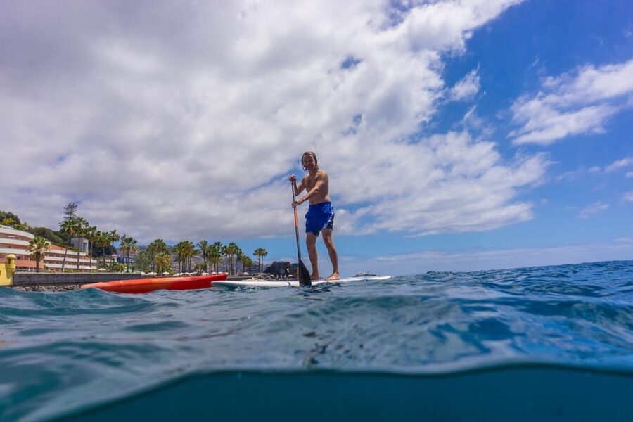 Funchal: SUP Rental or Guided tour with snorkeling - Key things to know before you go
