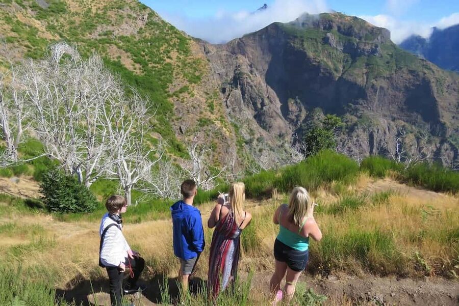 Funchal: Surprise Madeira Highlights for Cruise Guests - The Safety Briefing and the Reality of Open 4x4 Driving