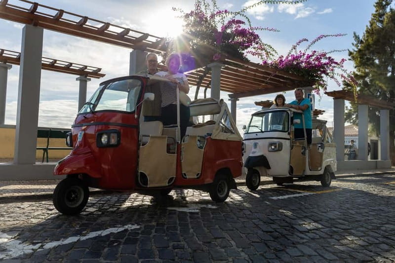 Funchal: Tuk Tuk Tour to the Most Breathtaking Viewpoints - Why Tuk Tuk Viewpoints Make Sense in Funchal