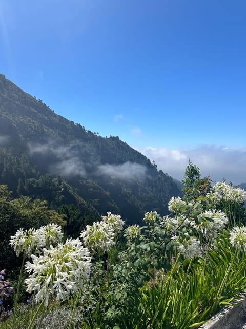 Funchal: Valley of the Nun’s tour by tuk tuk - Entering Curral das Freiras: A Remote Valley With a Storied Past
