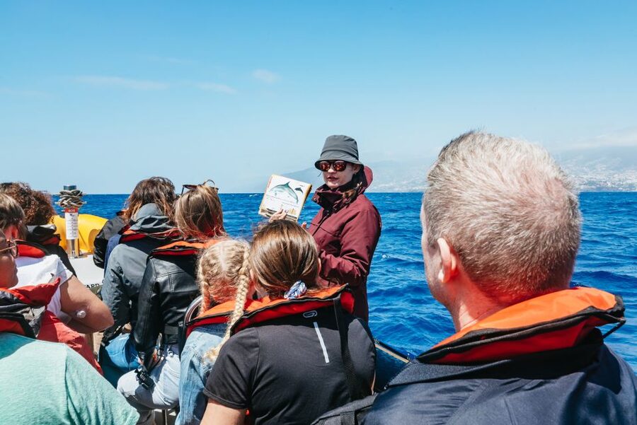 Funchal: Whale and Dolphin Watching Speed Boat Tour - Funchal Marina meet-up, then you’re off to sea