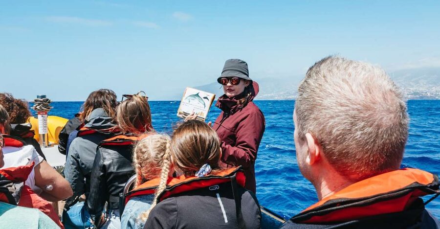 Funchal: Whale and Dolphin Watching Speed Boat Tour - The 2.5-hour coastline scan: spotters, repositioning, and what the timing means