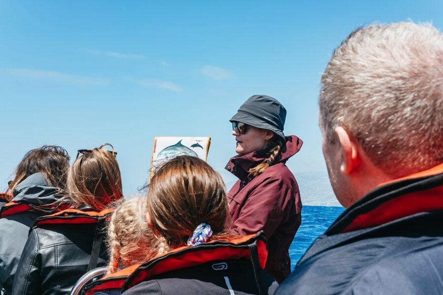 Funchal: Whale and Dolphin Watching Speed Boat Tour - Marine biologist guidance: how you turn spotting into real identification