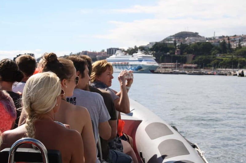 Funchal: Whale Watching and Swimming with Dolphins Cruise - Finding the meeting point in Funchal without stress