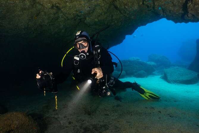 Garajau National Park Dive from Funchal for Certified Divers - Rough Water Reality: Entry, Exit, and Your Comfort Plan