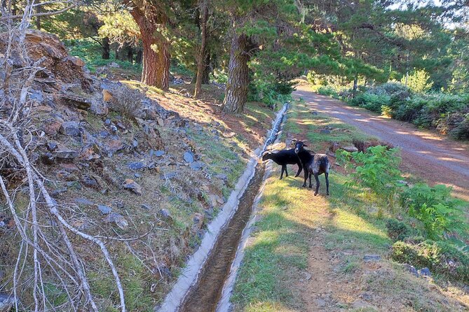 Gastro hike (Private Tour) - Who should book this gastro hike (and who might rethink it)