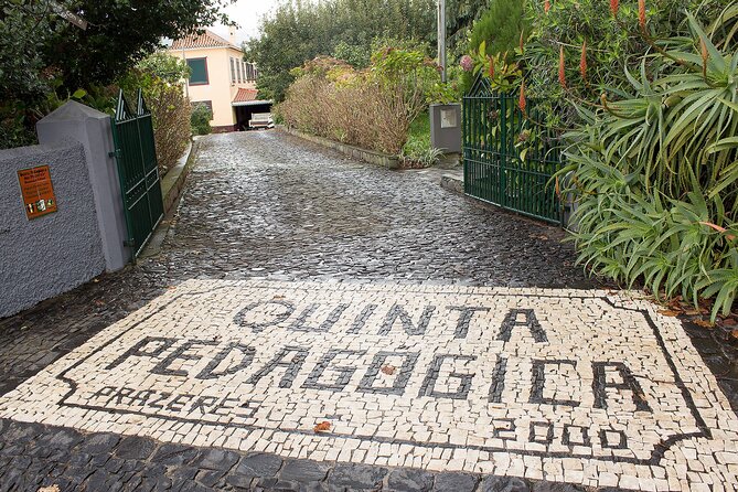 Go South Tour - Madeira Island Excursion - Stop 1: Ponta do Sol and the Pebbled Beach Vibe by the Water