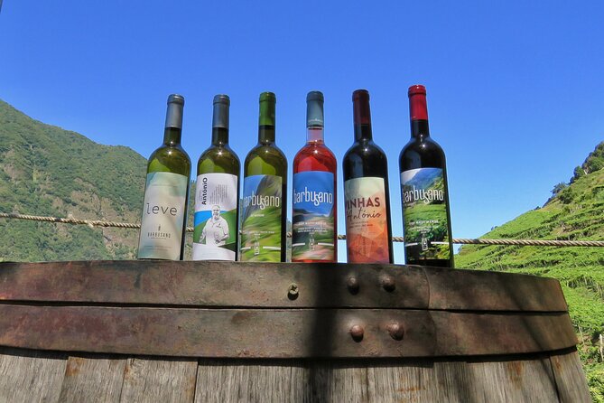 Guided 4x4 Adventure and Skywalk with Wine and Tapas in Madeira - Key Things I’d Focus On