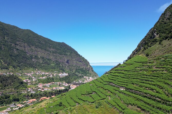 Guided 4x4 Adventure and Skywalk with Wine and Tapas in Madeira - Quinta do Barbusano Vineyard: The Wine Tasting And Tapas Part