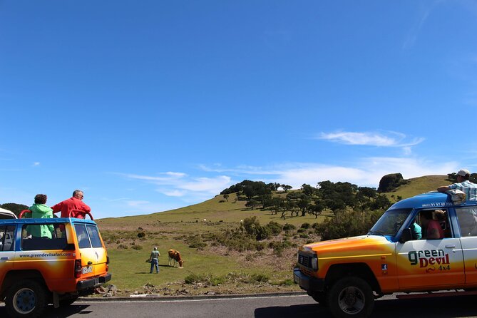 Guided Exploration of Southwest Madeira in a 4x4 - Praia da Calheta and the Madeira Wine Angle