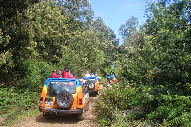 Guided Exploration of Southwest Madeira in a 4x4 - Pickup in Funchal and Caniço: Logistics That Save Your Day