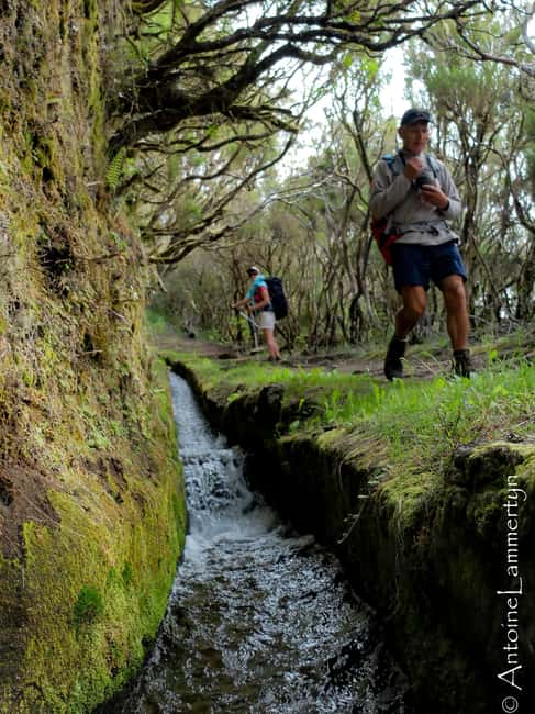 Guided Hike in Madeira - Walking Madeira’s levadas: irrigation canals turned into trail education