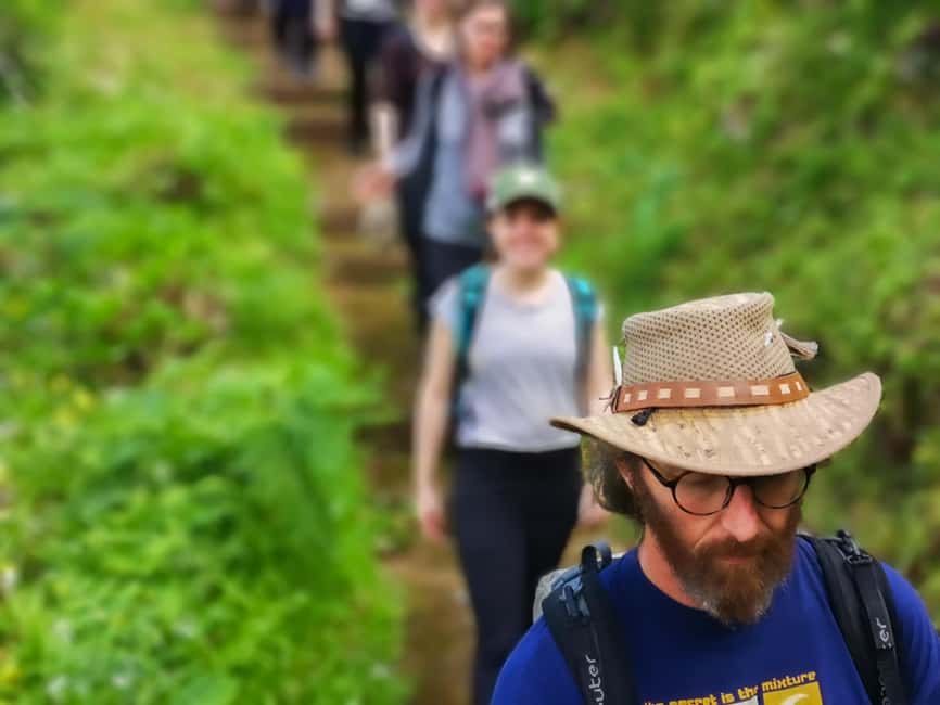 Guided Hike in Madeira - Into Laurisylva: the UNESCO primary forest moment that changes how you see the island