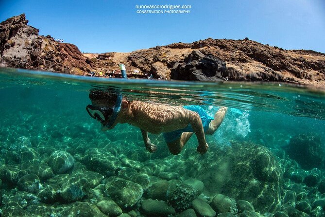 Guided Snorkeling in Shipwreck - Key highlights you will actually care about
