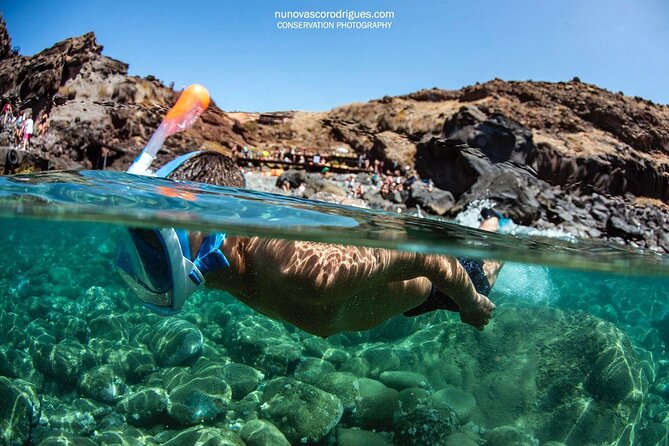 Guided Snorkeling in Shipwreck - What the guided snorkeling includes, and what you bring into it