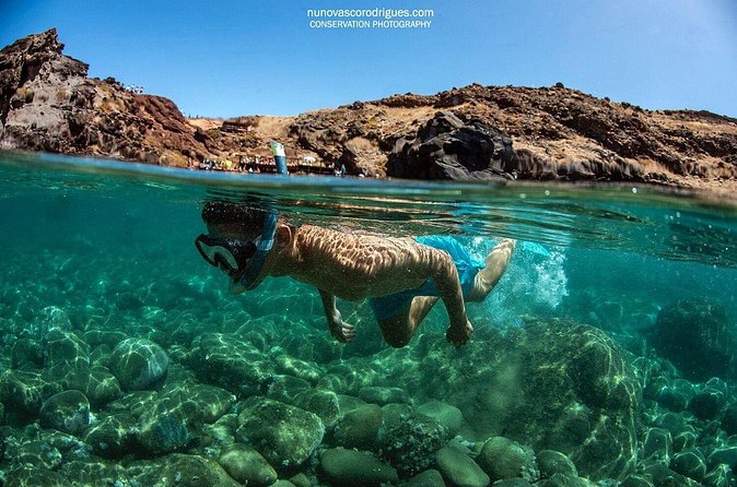 Guided Snorkeling in Shipwreck - What to expect under the surface, beyond the postcard stuff