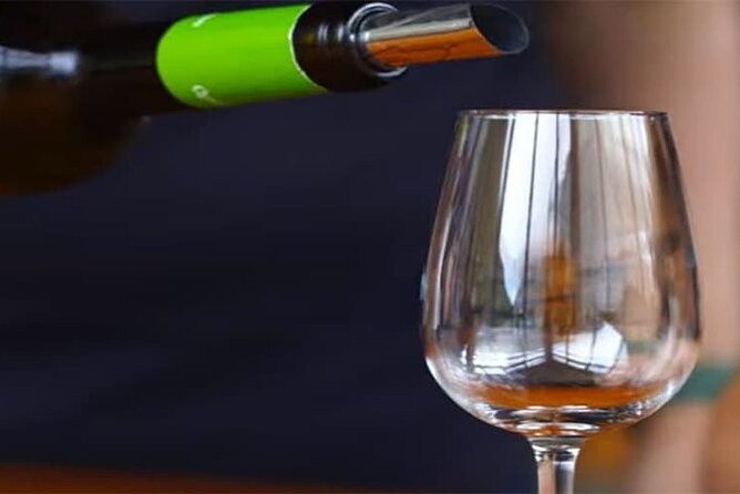 Guided Toboggan Ride and Madeira Wine Tasting Tour - Madeira wine lodge barrels, market colors, and one big slide