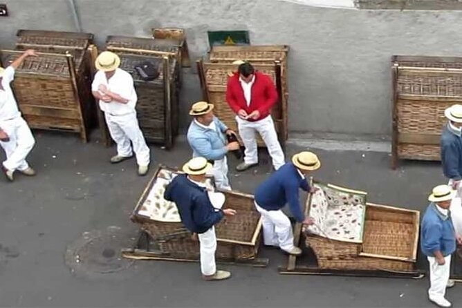 Guided Toboggan Ride and Madeira Wine Tasting Tour - Monte gardens and Funchal viewpoints: your pause before the slide