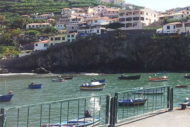 Guided Toboggan Ride and Madeira Wine Tasting Tour - Price and value: what you get for the money