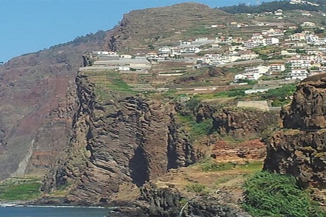 Guided Toboggan Ride and Madeira Wine Tasting Tour - Logistics that actually matter: pickup, timing, and mobile tickets