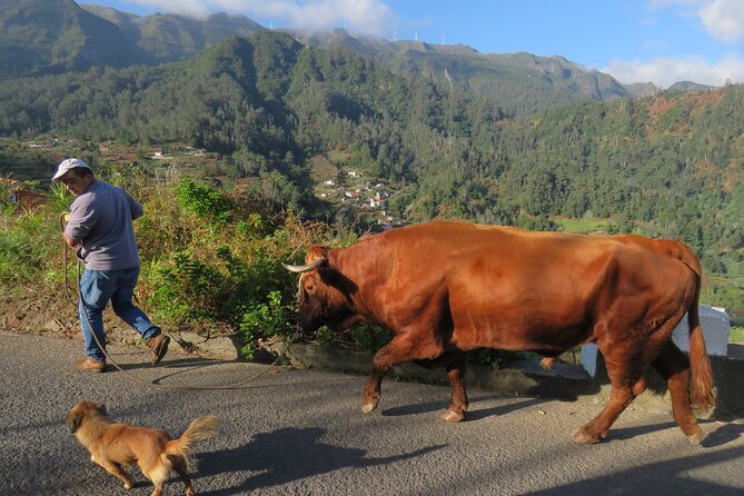 Guided Tour Beyond Vineyards Cabo Girão Skywalk and 4x4 Adventure - Price and value: the base tour cost plus the realistic add-ons