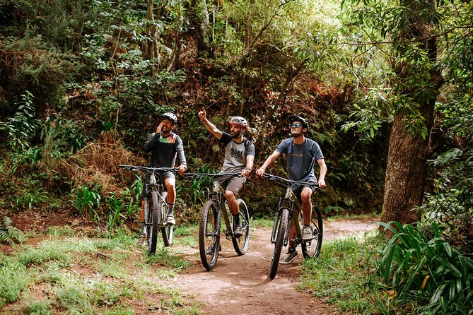 Guided Tour Electric Mountain Bike Experience - Key Highlights You’ll Care About