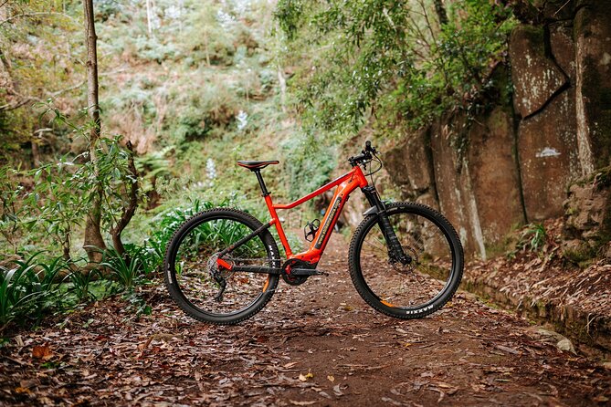 Guided Tour Electric Mountain Bike Experience - Meeting Point in Funchal, Plus How Transfers Affect Your Day