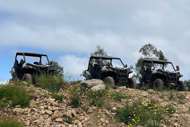 Half-Day Buggy Tour from Câmara de Lobos - Where you meet in Câmara de Lobos, and how pickup really works