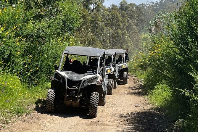 Half-Day Buggy Tour from Câmara de Lobos - Photo stops and the small-group feel that keeps you from feeling rushed