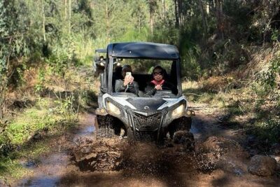 Half-Day Buggy Tour from Câmara de Lobos