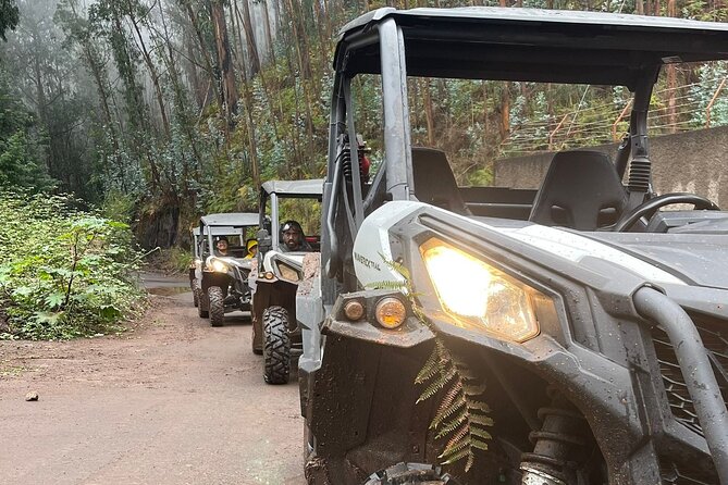 Half-Day Buggy Tour from Câmara de Lobos - The main consideration: dusty trails, tricky roads, and weather changes
