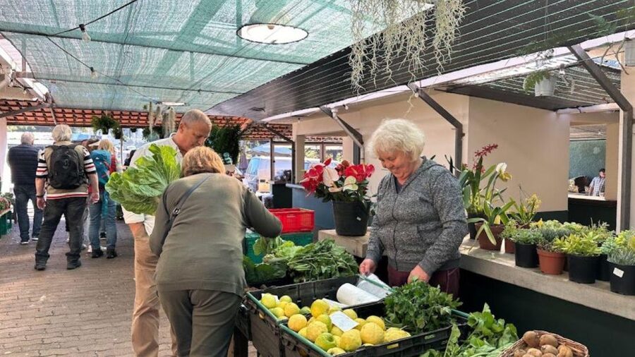 Half-Day Country Market Tour on Madeira Island - Key points to know before you go