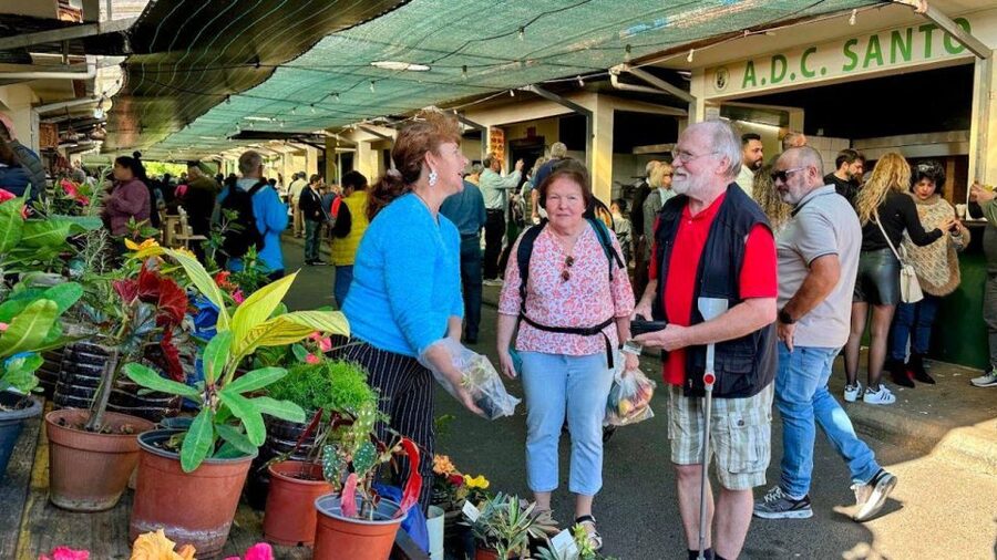 Half-Day Country Market Tour on Madeira Island - Who should book, and who might skip it