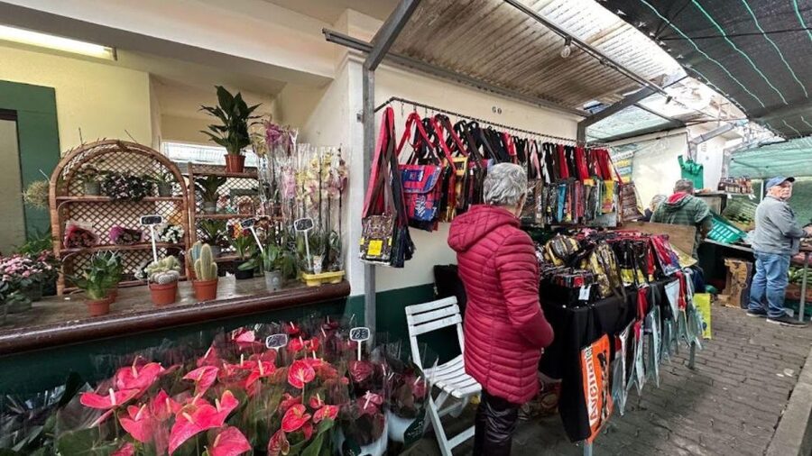Half-Day Country Market Tour on Madeira Island - Quinta do Santo da Serra gardens: the calm, plant-filled pause you’ll thank yourself for